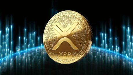 xrp-tops-list-of-gainers-as-whale-interest-spikes