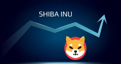 shiba-inu-tallies-77%-accumulation-by-major-investors-–-good-for-shib-price?